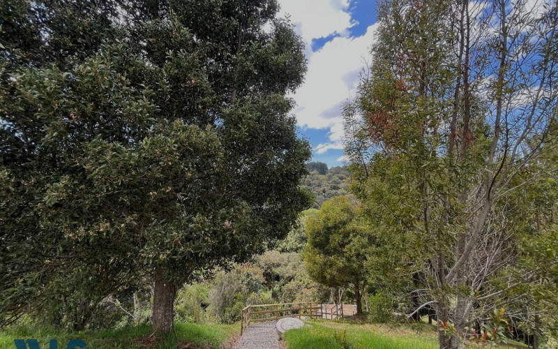 Lote Residencial en Envigado en Alto de las Palmas