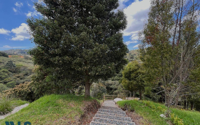 Lote Residencial en Envigado en Alto de las Palmas