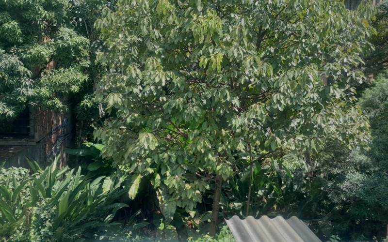 Casa en Medellín en El Poblado
