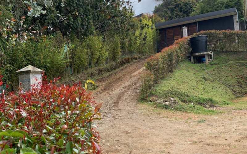 Residential Lot in Envigado in Alto de las Palmas huge discount 50% off