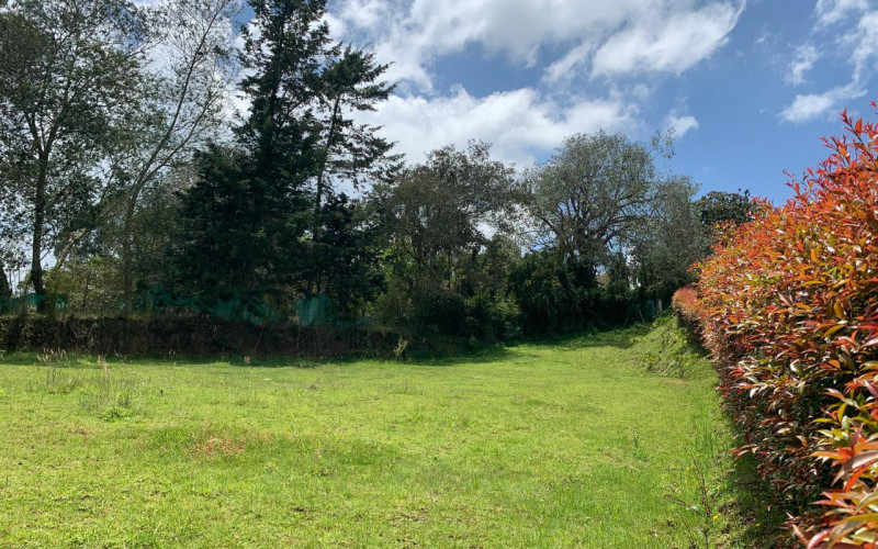 Residential Lot in Envigado in Alto de las Palmas huge discount 50% off