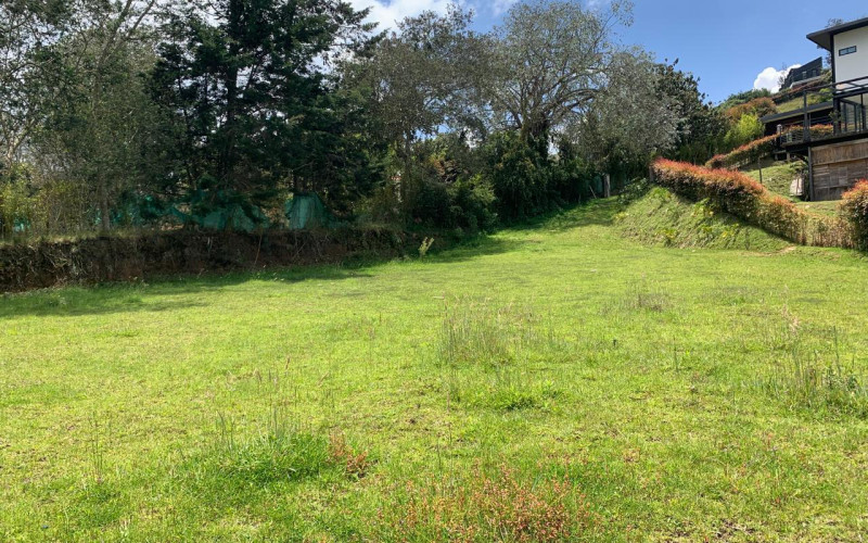 Residential Lot in Envigado in Alto de las Palmas huge discount 50% off