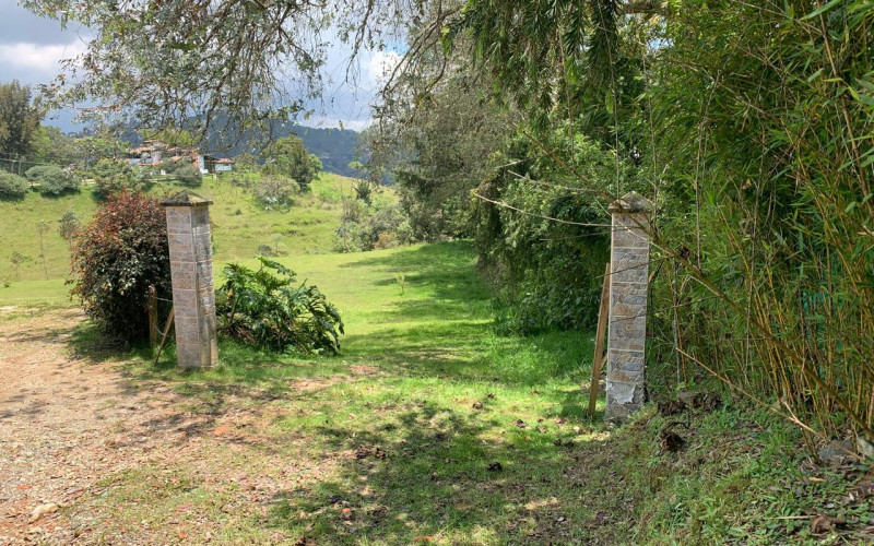 Residential Lot in Envigado in Alto de las Palmas huge discount 50% off