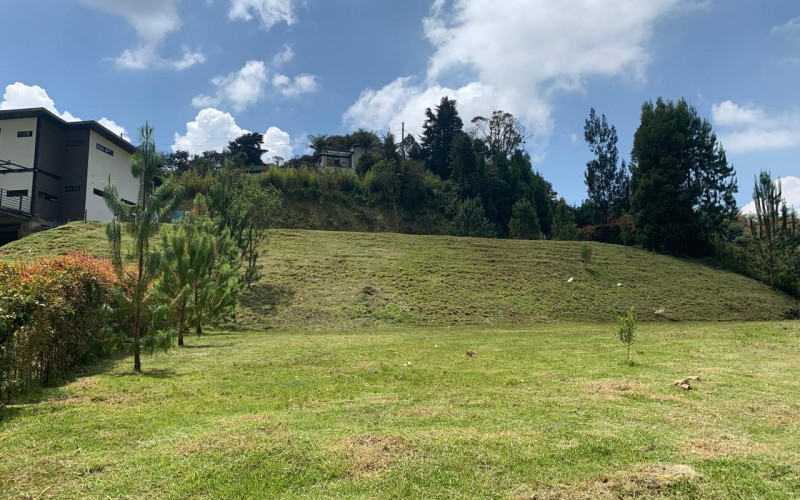 Residential Lot in Envigado in Alto de las Palmas huge discount 50% off