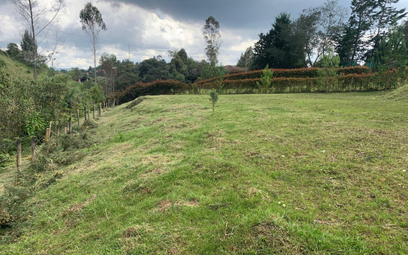 Residential Lot in Envigado in Alto de las Palmas huge discount 50% off