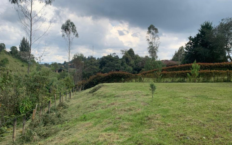 Residential Lot in Envigado in Alto de las Palmas huge discount 50% off