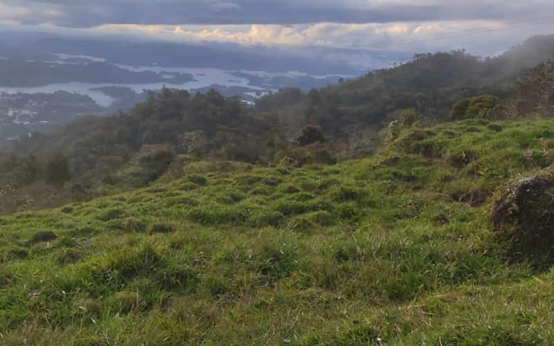 Enormeous Lot in Guatape, El Roble 5,6 HA