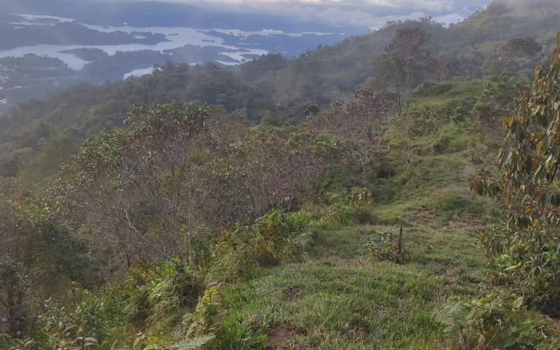 Enormeous Lot in Guatape, El Roble 5,6 HA