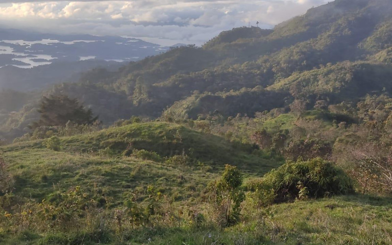 Enormeous Lot in Guatape, El Roble 5,6 HA