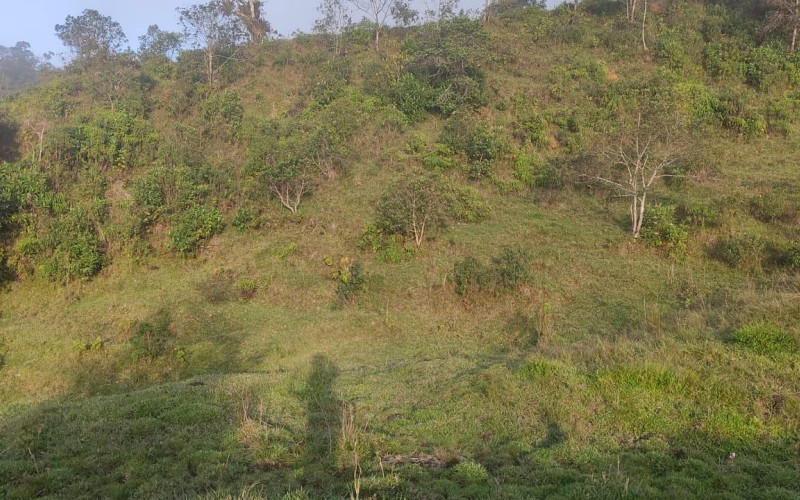 Enormeous Lot in Guatape, El Roble 5,6 HA