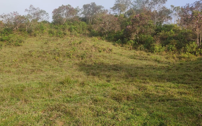 Enormeous Lot in Guatape, El Roble 5,6 HA