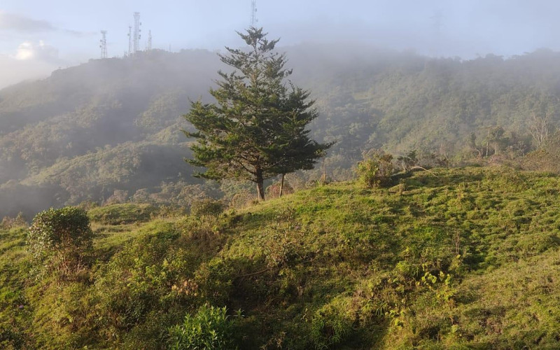 Enormeous Lot in Guatape, El Roble 5,6 HA