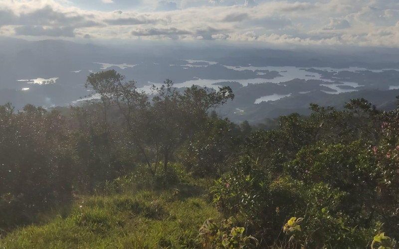 Enormeous Lot in Guatape, El Roble 2,5 HA