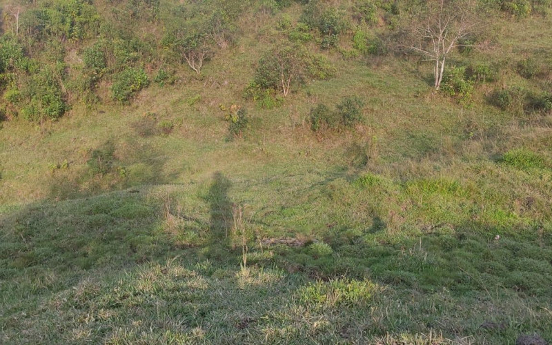 Enormeous Lot in Guatape, El Roble 2,5 HA