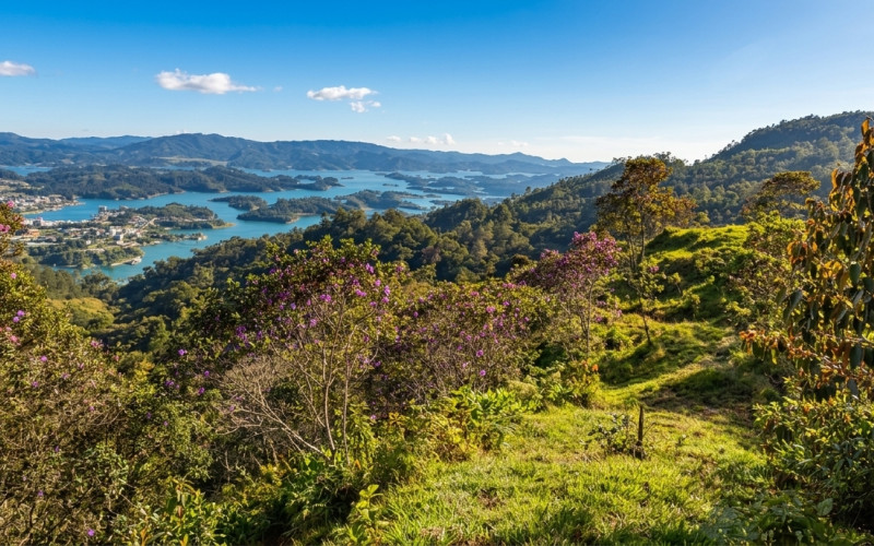 Enormeous Lot in Guatape, El Roble 2,5 HA