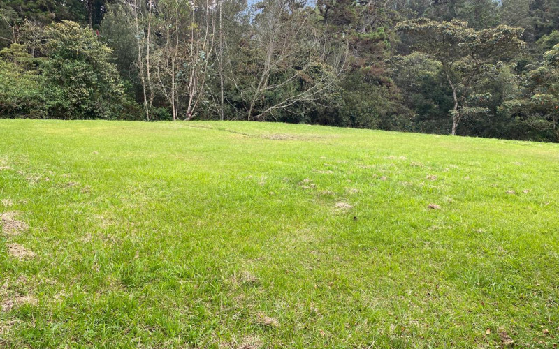 2388 m² Lot in Alto de Las Palmas, Medellín