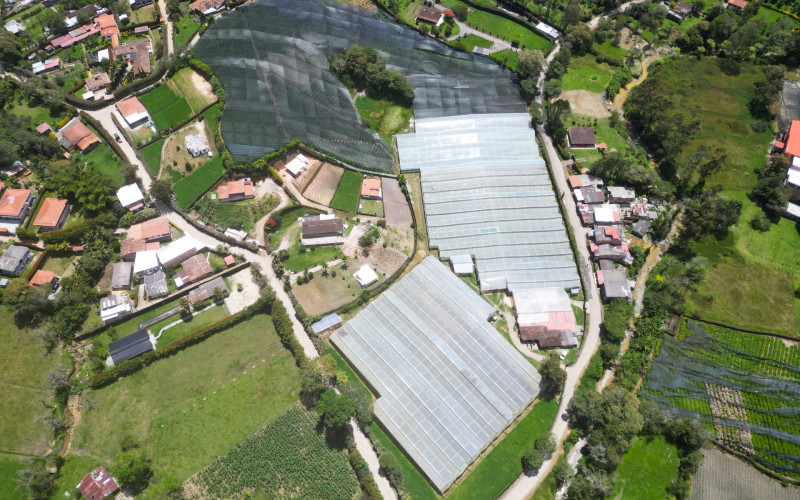 Large lot for real estate development in El Carmen de Viboral