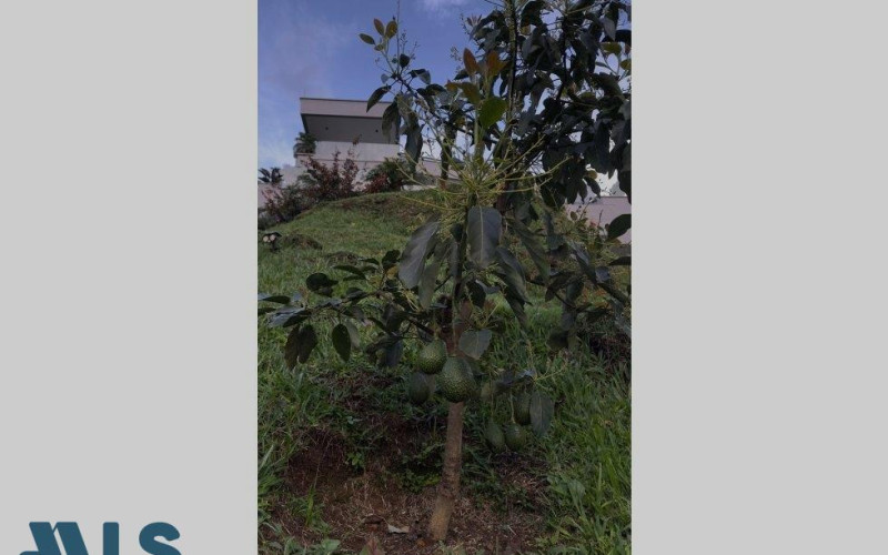 Casa en Envigado en Las palmas