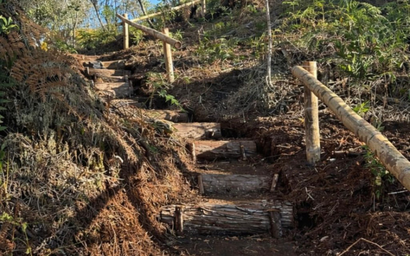 Finca with forest in San Vicente (Vereda Chaparral)