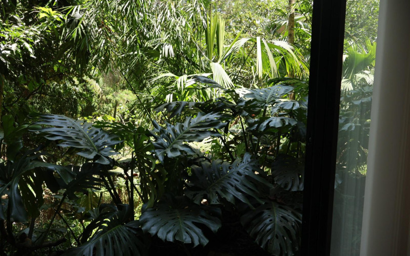 Modern Furnished Apartment in Provenza: A Serene Oasis Steps from Medellín’s Zona Rosa