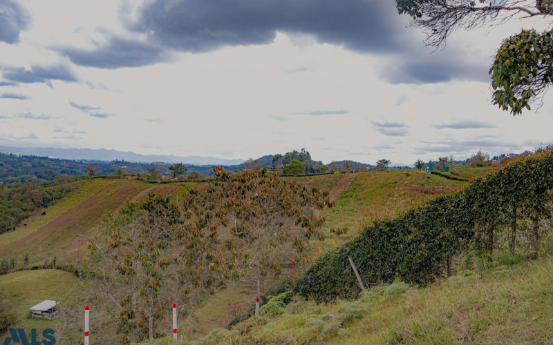 Lote Residencial en San Vicente en Urbano