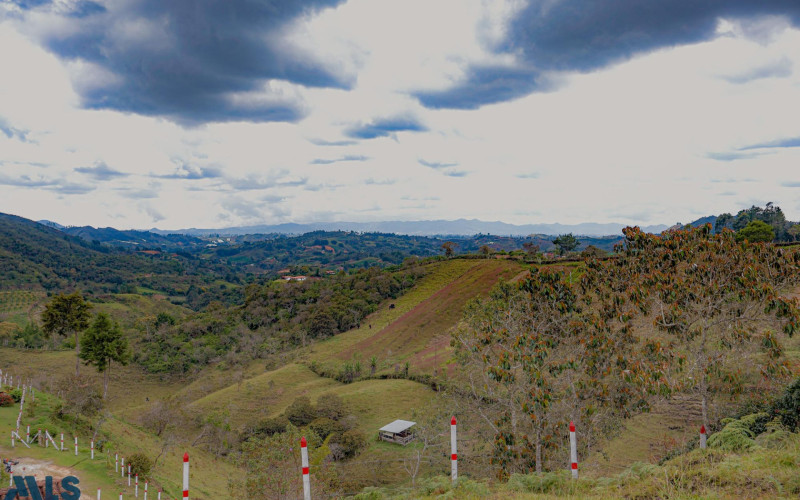 Lote Residencial en San Vicente en Urbano