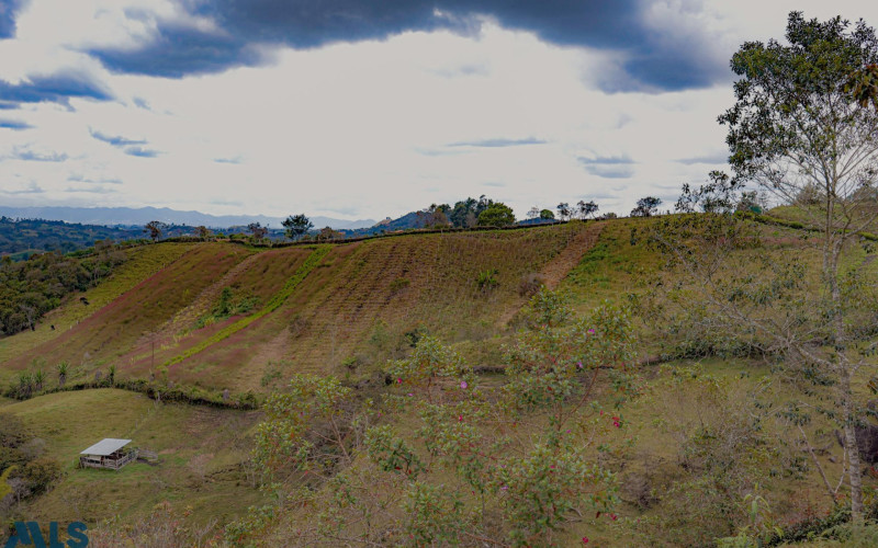 Lote Residencial en San Vicente en Urbano