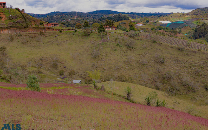Lote Residencial en San Vicente en Urbano