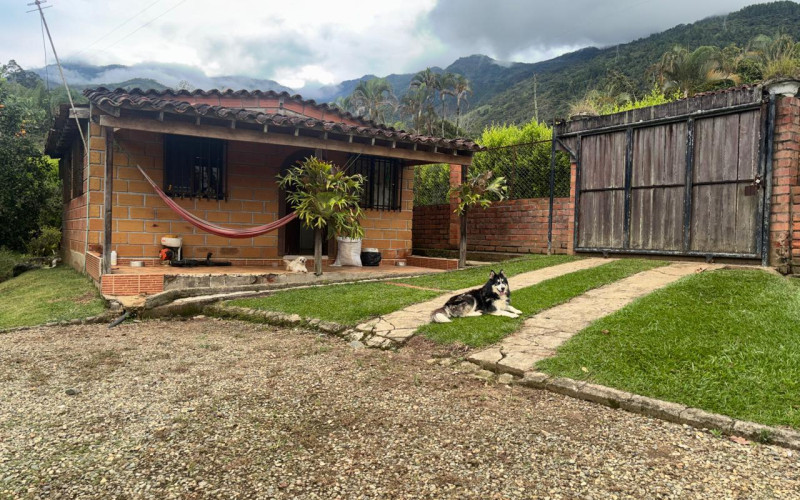 Finca El Paraíso–Barbosa: A Sanctuary of Nature Just 50 Minutes from Medellín