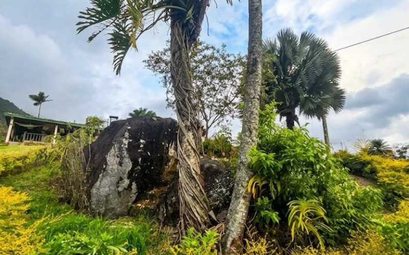 Finca El Paraíso–Barbosa: A Sanctuary of Nature Just 50 Minutes from Medellín