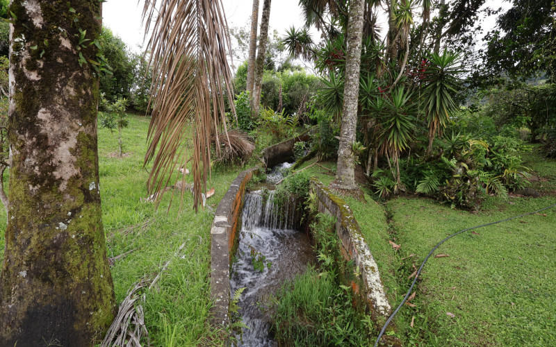 Finca El Paraíso–Barbosa: A Sanctuary of Nature Just 50 Minutes from Medellín