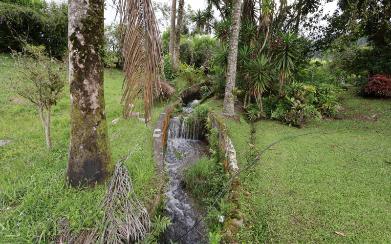 Finca El Paraíso–Barbosa: A Sanctuary of Nature Just 50 Minutes from Medellín