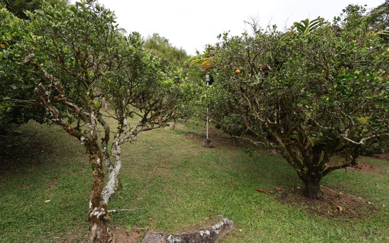 Finca El Paraíso–Barbosa: A Sanctuary of Nature Just 50 Minutes from Medellín