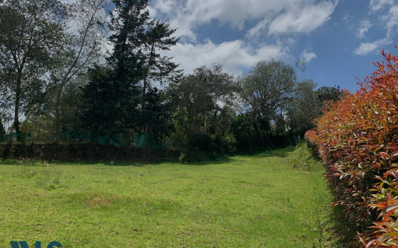 Lote Residencial en Envigado en Alto de las Palmas