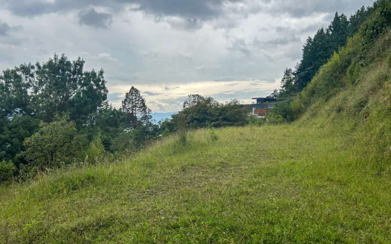 Japanese Style Lot in Alto del Escobero (Komorebi)