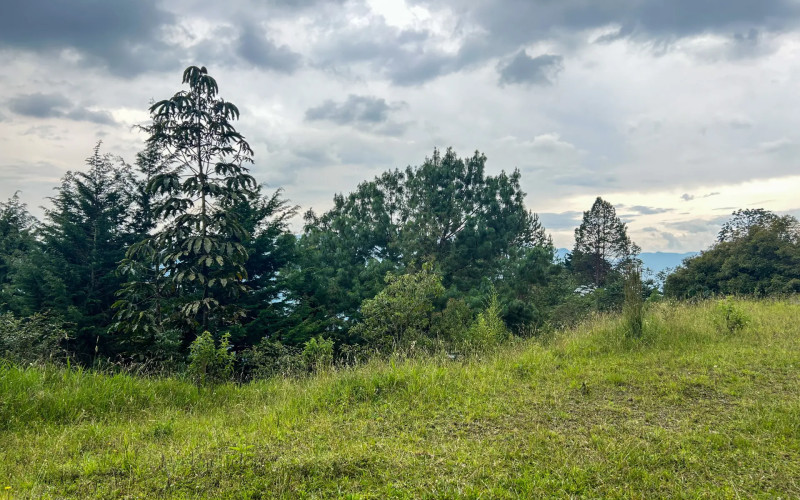 Japanese Style Lot in Alto del Escobero (Komorebi)
