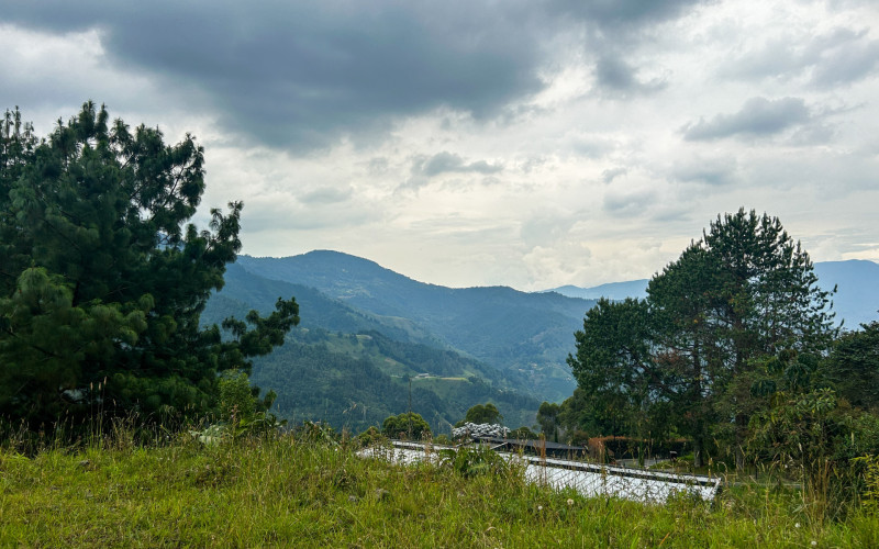 Japanese Style Lot in Alto del Escobero (Komorebi)