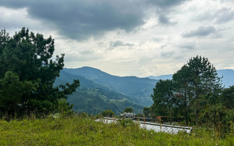 Japanese Style Lot in Alto del Escobero (Komorebi)