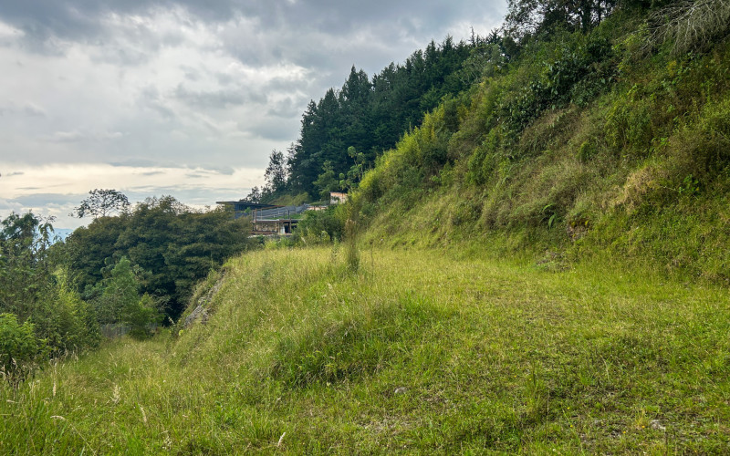 Japanese Style Lot in Alto del Escobero (Komorebi)