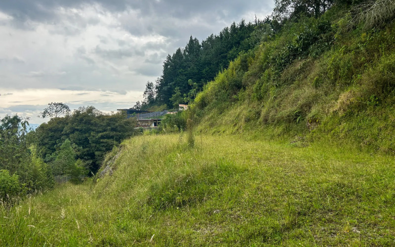 Japanese Style Lot in Alto del Escobero (Komorebi)