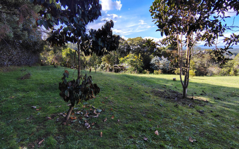Luxury Estate in Santa Elena 8800 mts Facing Arví Park