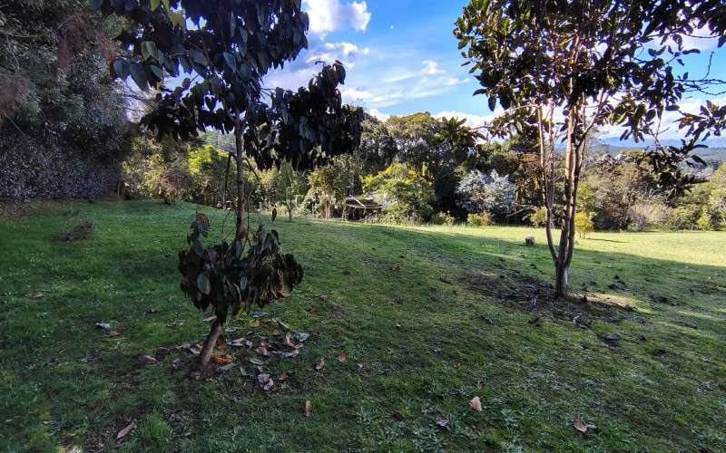 Luxury Estate in Santa Elena 8800 mts Facing Arví Park