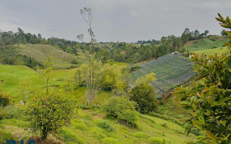 Lote Residencial en San Vicente en Rural