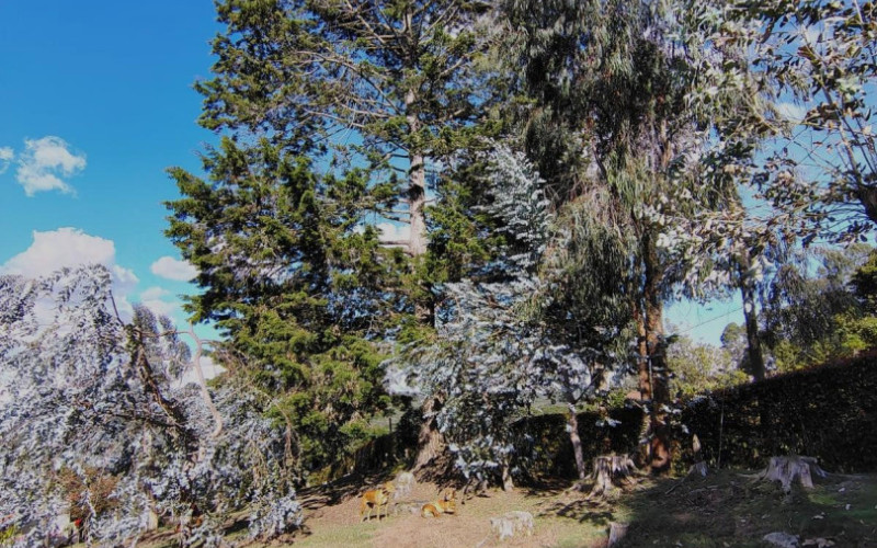 Casa en Santa Elena en Rural