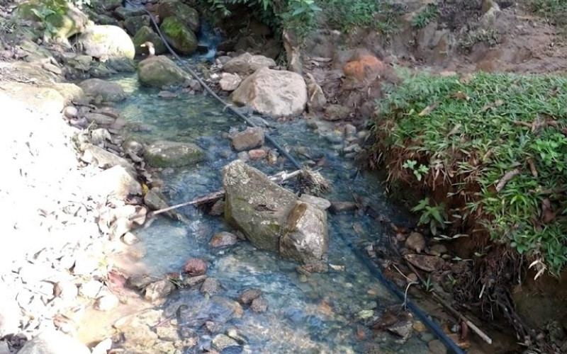 52 Acres (21 Hectares) San Carlos, Antioquia. Near Lakes & 2026 Paved Road.