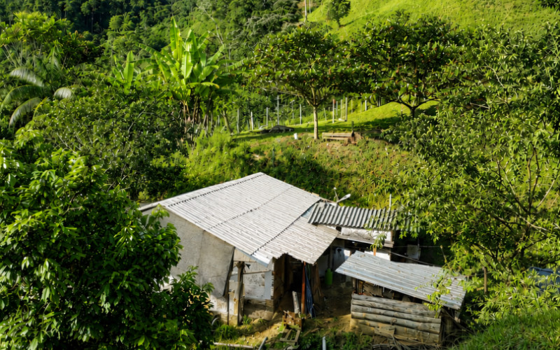 52 Acres (21 Hectares) San Carlos, Antioquia. Near Lakes & 2026 Paved Road.