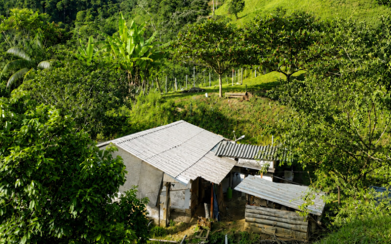 52 Acres (21 Hectares) San Carlos, Antioquia. Near Lakes & 2026 Paved Road.