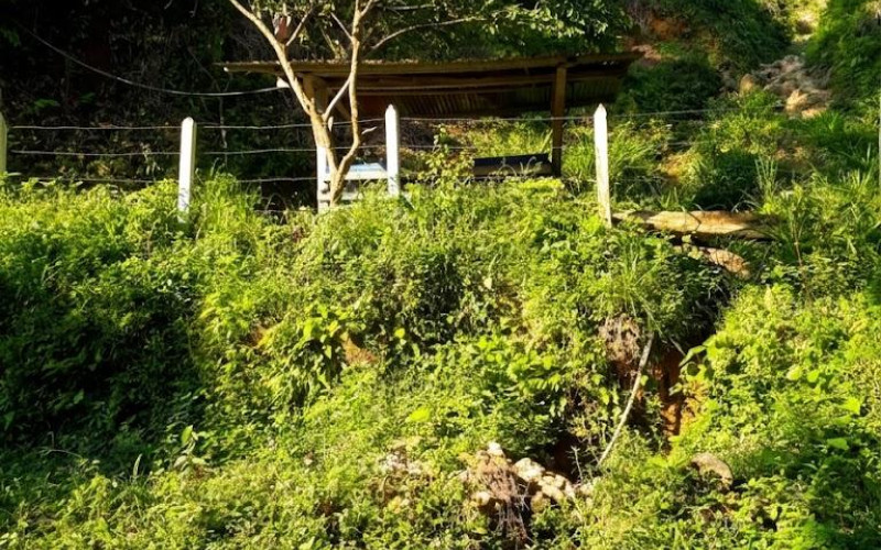 52 Acres (21 Hectares) San Carlos, Antioquia. Near Lakes & 2026 Paved Road.