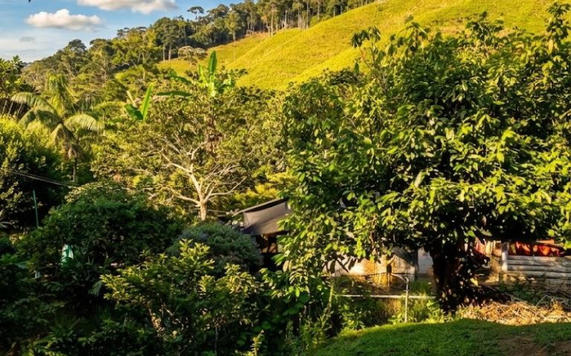 52 Acres (21 Hectares) San Carlos, Antioquia. Near Lakes & 2026 Paved Road.