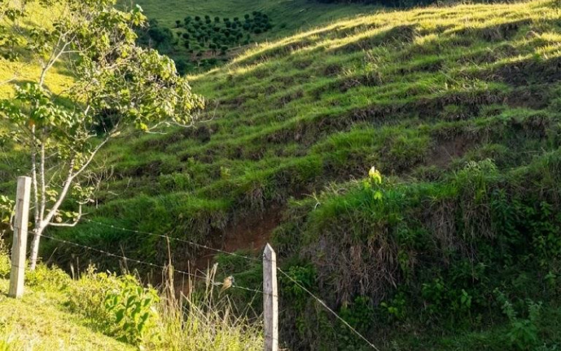 52 Acres (21 Hectares) San Carlos, Antioquia. Near Lakes & 2026 Paved Road.